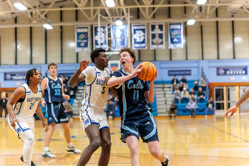 #image_title